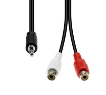 3-Pin to 2 x RCA Cable M-F