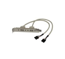 StarTech.com USBPLATE kabeļu spraudņu pāreja 2 x IDC 2 x USB A Sudrabs