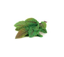 Click &amp  Grow Smart Garden refill Bloody Sorrel 3pcs 4742793007496