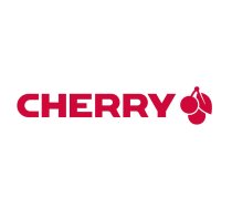 CHERRY DW 9100 SLIM tastatūra Pele iekļauta RF bezvadu sakari + Bluetooth QWERTZ Vācu Sudrabs