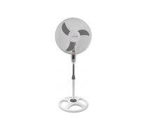 Esperanza EHF002WE, 16 '' standing fan, White and Gray