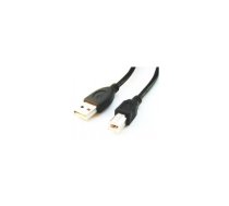 Cablexpert | CCP-USB2-AMBM-6 | USB-A to USB-B USB A | USB B