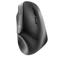 CHERRY MW 4500 pele Labā roka RF Bezvadu Optisks 1200 DPI