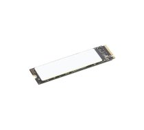 TP 1TB SSD PERFORM PCIE G4