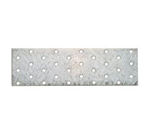 Steel Plate with Holes, 200 x 60 mm (80785)