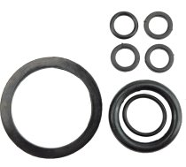 SET OF GASKETS FOR PRESSURE SPRAYER (89545)