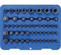 Bit Socket and Socket Set | E-Type / T-Star (for Torx) / T-Star tamperproof (for Torx) / TP-Star (for Torx Plus) | 52 pcs. (9839)