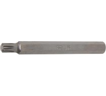 Bit | length 100 mm | 10 mm (3/8") drive | Spline (for RIBE) M8 (4773)