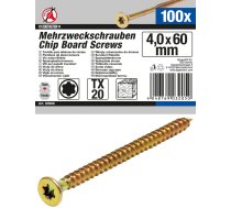 Multi-Purpose Screws | T-Star (for Torx) T20 | 4.0 x 60 mm | 100 pcs. (80996)