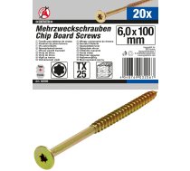 Multi-Purpose Screws | T-Star (for Torx) T25 | 6.0 x 100 mm | 20 pcs. (80999)