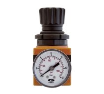 Air regulator with gauge