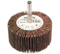 Flap disc with shaft 60x30x6mm