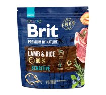 BRIT Premium By Nature Sensitive Lamb & Rice 1 kg