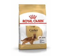 ROYAL CANIN Cocker adult 24 kg (2 x 12 kg) sausas maistas suaugusiems kokerspanieliams