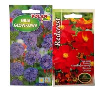 Kosmejas Red Crest un Gilia