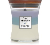 Aromātiskā svece - Bois-le-Duc - Trilogija Nomierinošais Patvērums - 275g - Vegāniskā - Bez zvērīšiem