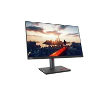 Monitors Lenovo ThinkVision P24h-30