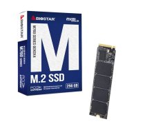 SSD cietais disks - niuqi - Biostar M760 - 256 Go