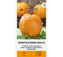 Ķirbji Quintale Seme Giallo