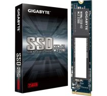 GigaByte NVMe SSD V2 256GB (PCIe 3.0 x4, NVMe 1.4, M.2 2280) G3NVMEV2256G