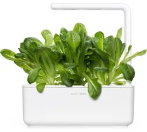 Click & Grow gudrā augu dārza uzpilde Romiešu salāti 3gb. 4742793008820