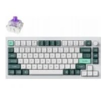 Keychron Q1 HE 75% Magnetic Switch Shell White klaviatūra