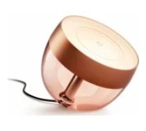 Philips Hue Iris Portable lamp Copper special edition 929002376803 viedā lampa