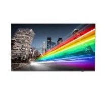 Philips 55BFL2214/ 12 55" LED TV monitors