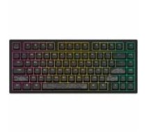 Dark Project ALU81A Terra Nostra Black, G3MS Moonstone Switch, RU klaviatūra