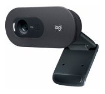 Logitech C505e HD Black 960-001372 WEB Kamera