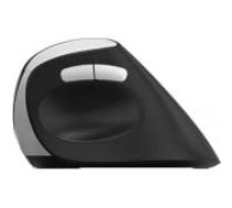 Rapoo EV250 Wireless Ergonomic Black datorpele