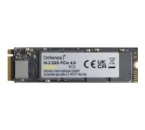 Intenso MI500 1TB 3836460 SSD disks