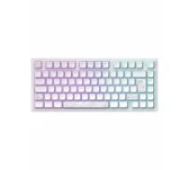 Dark Project ALU81A Terra Nova White, G3MS Moonstone Switch , US klaviatūra