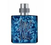 Nino Cerruti Cerruti 1881 Silver Night M 100 EDP Parfīms
