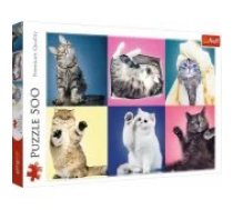 Trefl Puzzle 500 pcs. Kittens Trefl 37377 Puzle