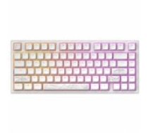 Dark Project ALU81A Terra Nostra White, G3MS Moonstone Switch, RU klaviatūra