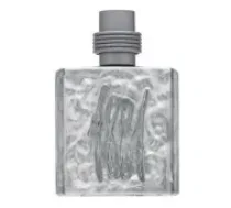 Nino Cerruti Cerruti 1881 Silver M 100 EDT Parfīms