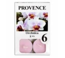 PROVENCE Tealights Orchidea 6pcs Svece