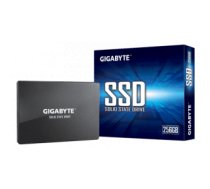 SSD cietais disks Gigabyte | GP-GSTFS31256GTND | 256 GB | SSD interface SATA | Read speed 520 MB/s | Write speed 500 MB/s