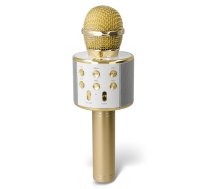 Forever BMS-300 Bluetooth Microphone with Speaker