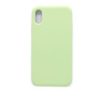 Back panel cover Evelatus Apple iPhone XR Premium Soft Touch Silicone Case Mint Green