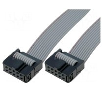 Connection cable | Pitch: 2.54mm | L: 1000mm | ribbon