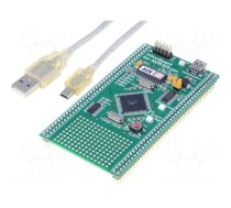 Dev.kit: Microchip | USB cable,prototype board