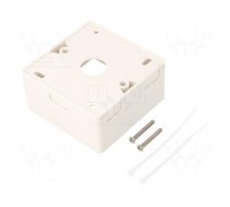 Case | socket | white | surface-mounted