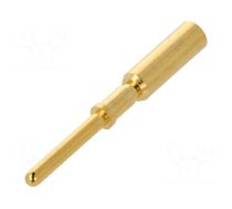 Contact | male | gold-plated | 2.5mm2 | crimped | M12 Power connectors