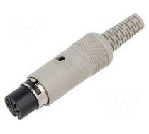 Connector: DIN | plug | female | PIN: 3 | Layout: 180° | straight | grey