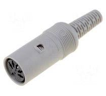 Plug | DIN | female | PIN: 5 | Layout: 180° | straight | for cable