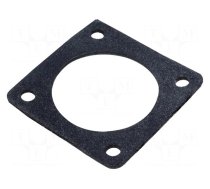 FLANGE GASKET CPC