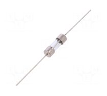 Fuse: fuse | 1A | 250V | axial | 5x15mm | 230