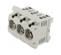 Fuse holder | protection switchgear | D02 | for DIN rail mounting